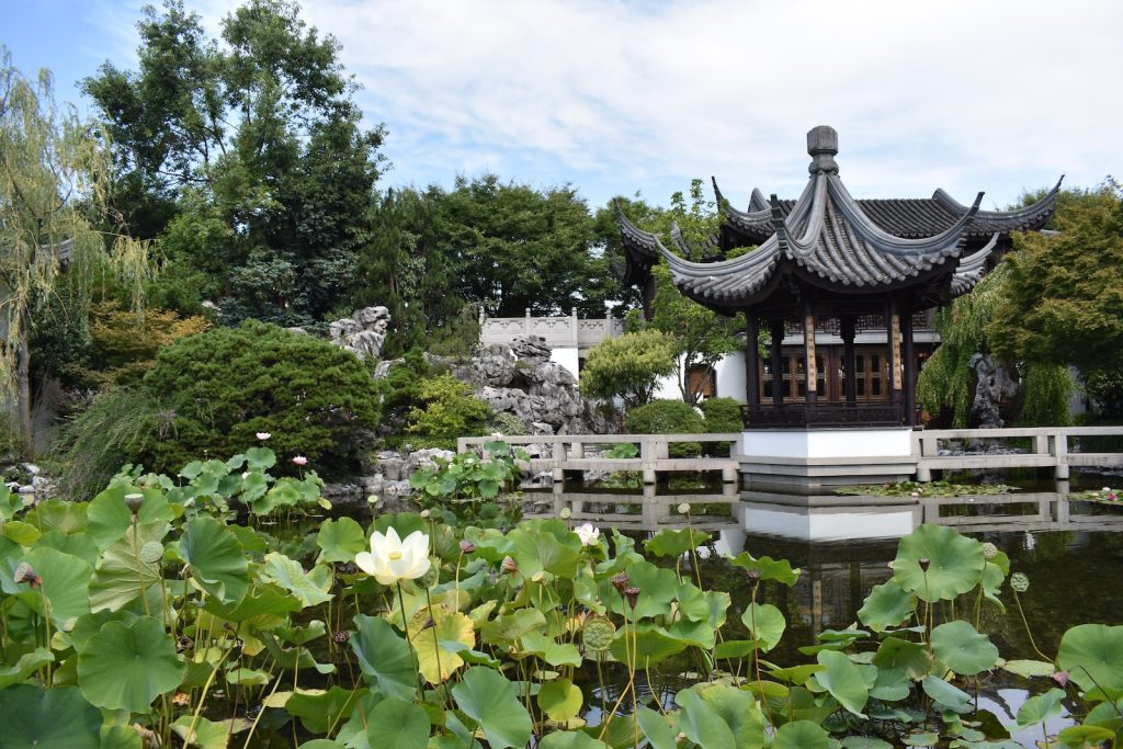 Chinese garden